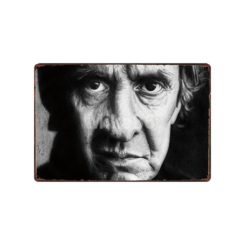 [Mike86] Jonny CASH MUSIC металлическая вывеска винтажный Паб Магазин рисунок на железной поверхности в стиле ретро художественный плакат Искусство 20*30 см LT-1795 - Цвет: SA-2225