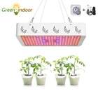 Комнатная светодиодная фитолампа полного спектра Greensindoor, лампа PPFD для выращивания растений, помидор, тент для Цветение растет, 2000 Вт, 1000 Вт