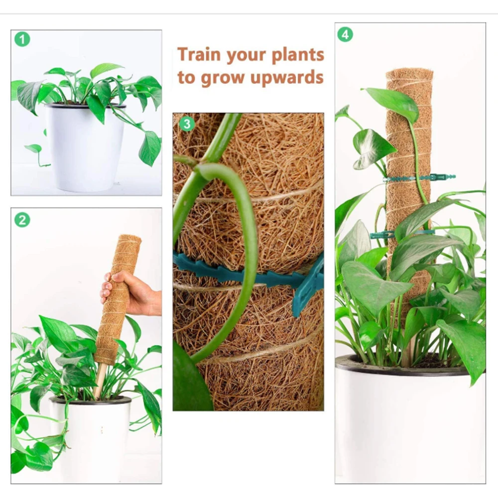 

​Stretching Plants Climbing Poles Climbing Vines Moss-covered Plants Postscoconut Palms Help Support Plant Growth Garden Tools
