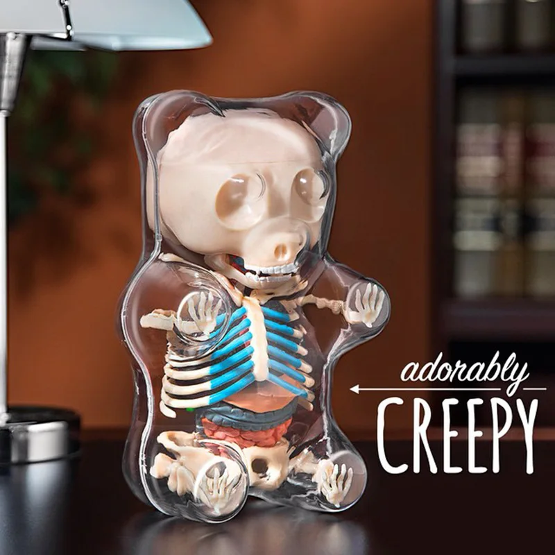 4d Big Bear Transparent Perspective Animal Anatomy Skeleton Bone Puzzle Assembling Toy for Children