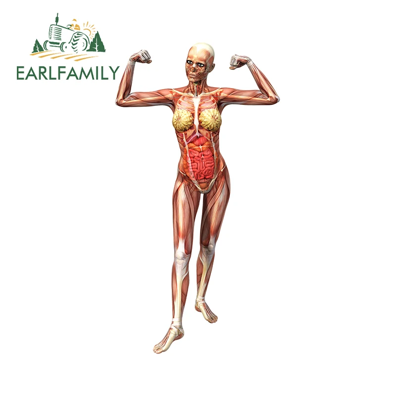 

EARLFAMILY 13cm x 6.9cm for Human Female Body Car Stickers Refrigerator Waterproof Surfboard Sunscreen RV Scratch-Proof
