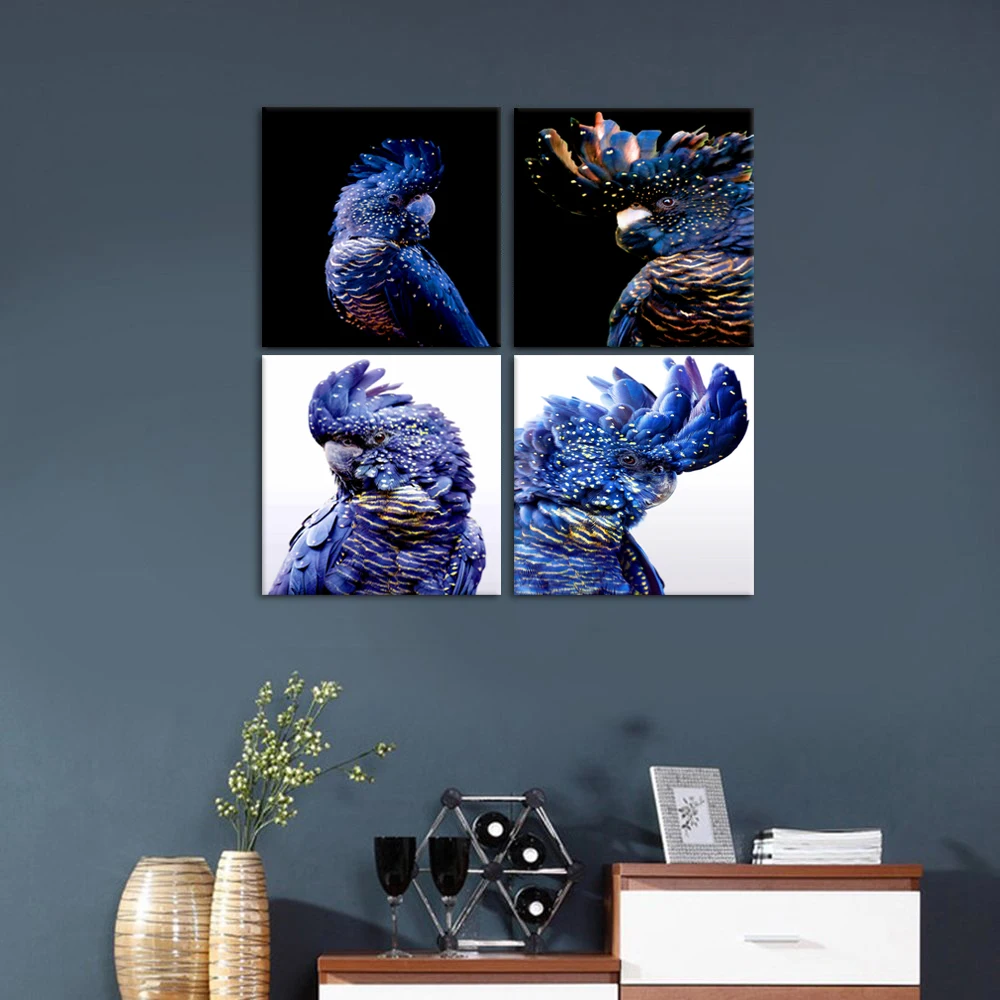 Австралийская птица Печать Черный Cockatoo настенное искусство темно-синий попугай