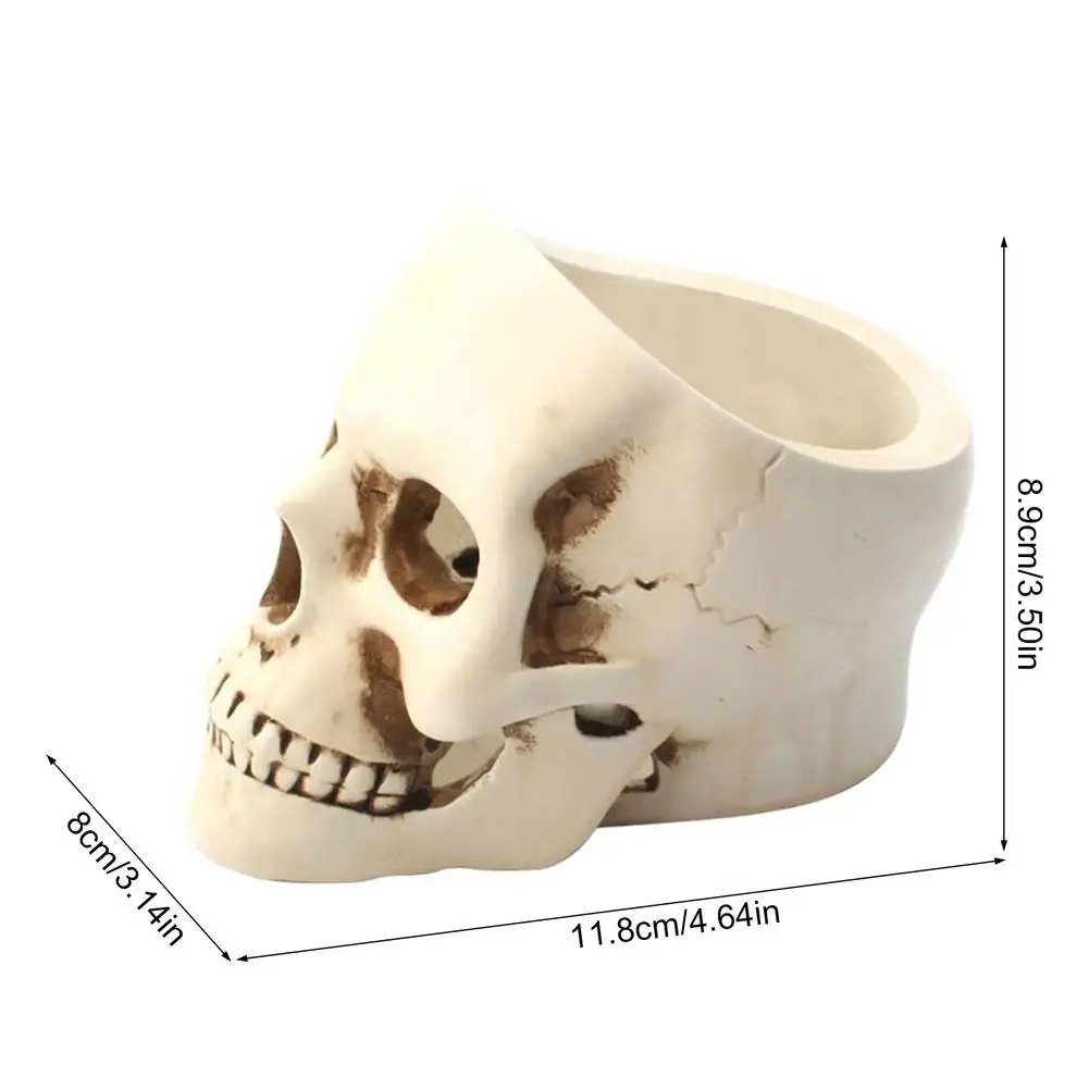 

Best Gift For Student Kids Skull Shaped Flower Pot Desktop Resin Basin Storage Ornament Skull Flower Pot