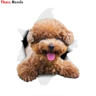 Three Ratels 1078 3dsmiling коричневый Пудель наклейки на стену собаки наклейка собака наклейки для стен холодильника автомобилей туалета багажа скейтборда Lapt