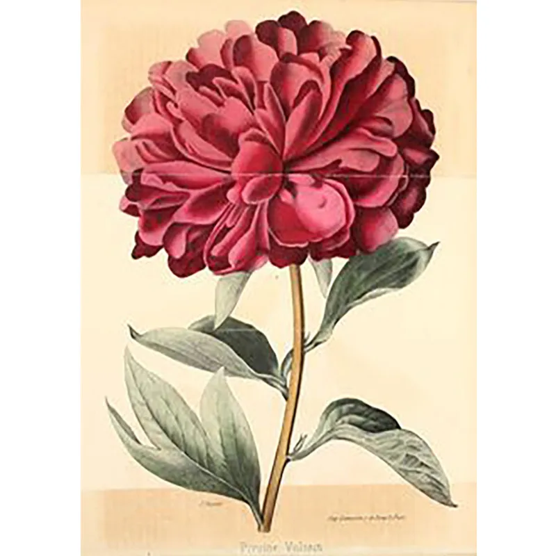 5d diy алмазная живопись красные цветы вышивка ручной работы ручная работа