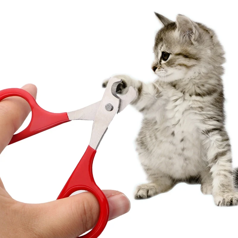 

Кусачки для ногтей для щенков, 1 шт., ножницы для ногтей, триммер для ногтей, набор кусачек для ногтей, ножницы для ногтей, триммер для домашни...