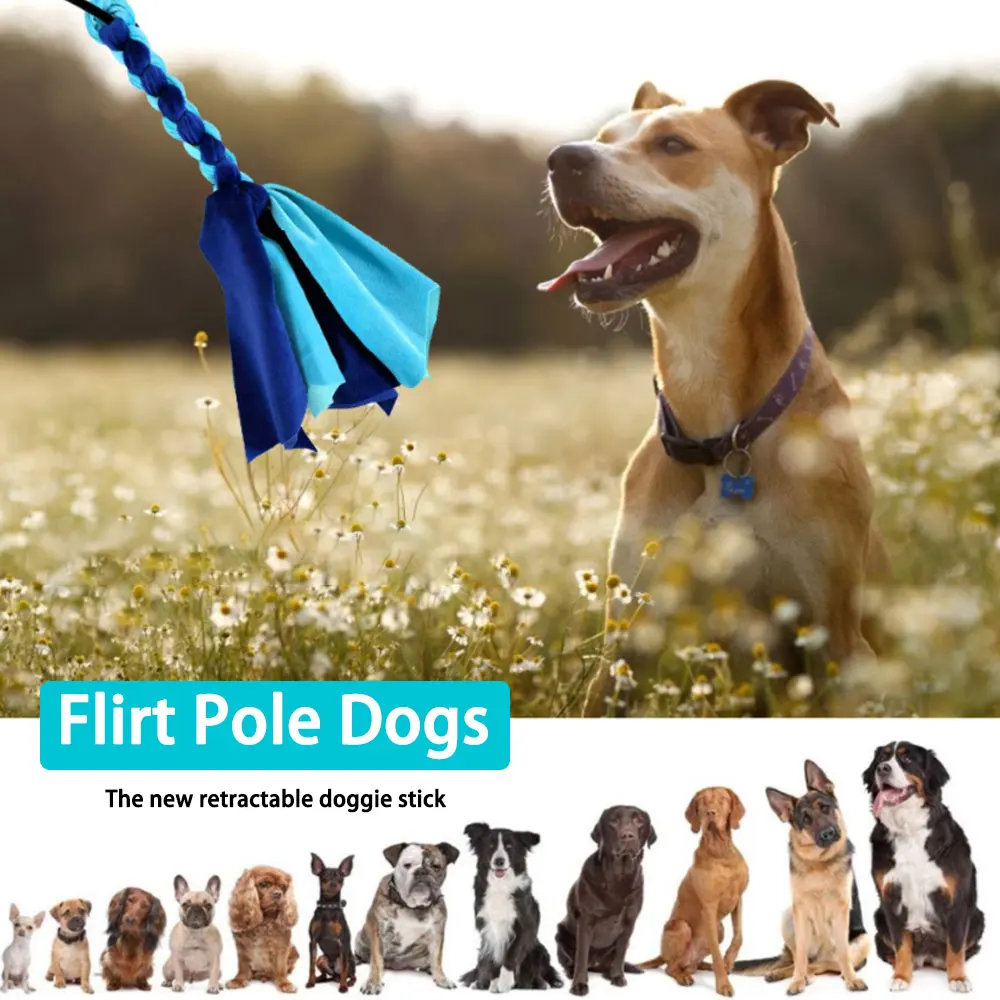 

Teaser Lure Stick Dog Flirt Pole Outdoor Training Exerciser Interactive Toys Chasing Tail Portable Funny Non Slip Extendable