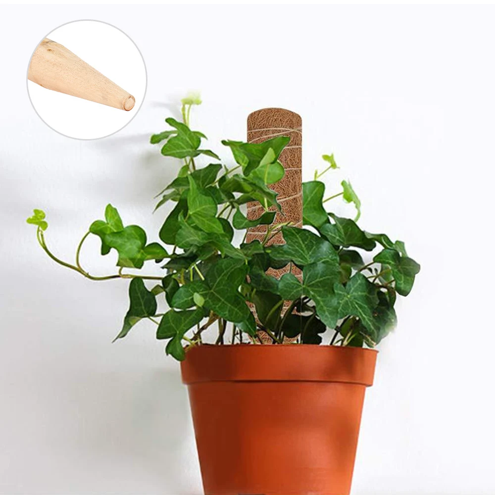 Кокосовая палка для подъема растений безопасная садоводства пальма поддержки