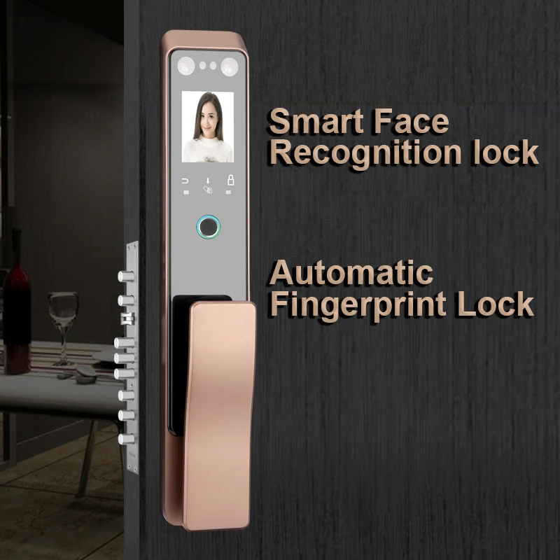 

Face Recognition Lock Keyless Smart Door Lock Digital Electronic Biometric Intelligent Access Card Unlock Palm Print Unlock
