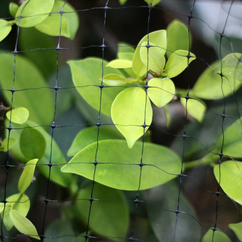 20x2.1m Anti Bird Catcher Netting Net Bird-Preventing Traps Crops Fruit Tree Flower Garden Mesh Protect |