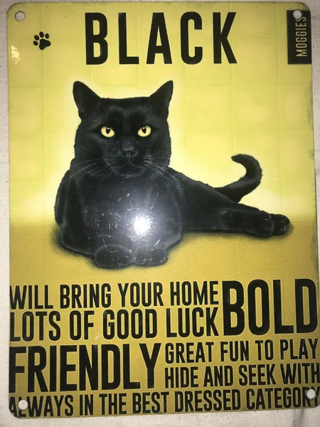 

Black Cat SMALL Tin Metal Wall Sign Metal Tin Signs Snow, Wall Retro Painting, Wall Decoration, Heavy Metal Tin Sign,