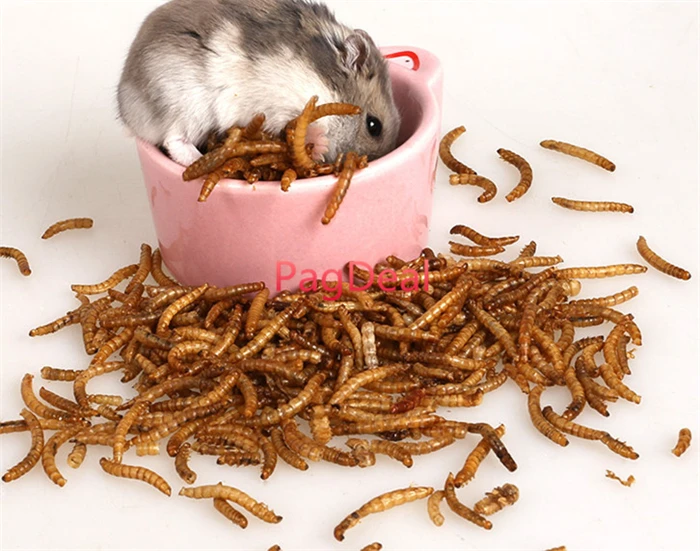 100 г Сушеные Mealworms для аквариума корма рыб рептилия черепаха хомяк дикая птица