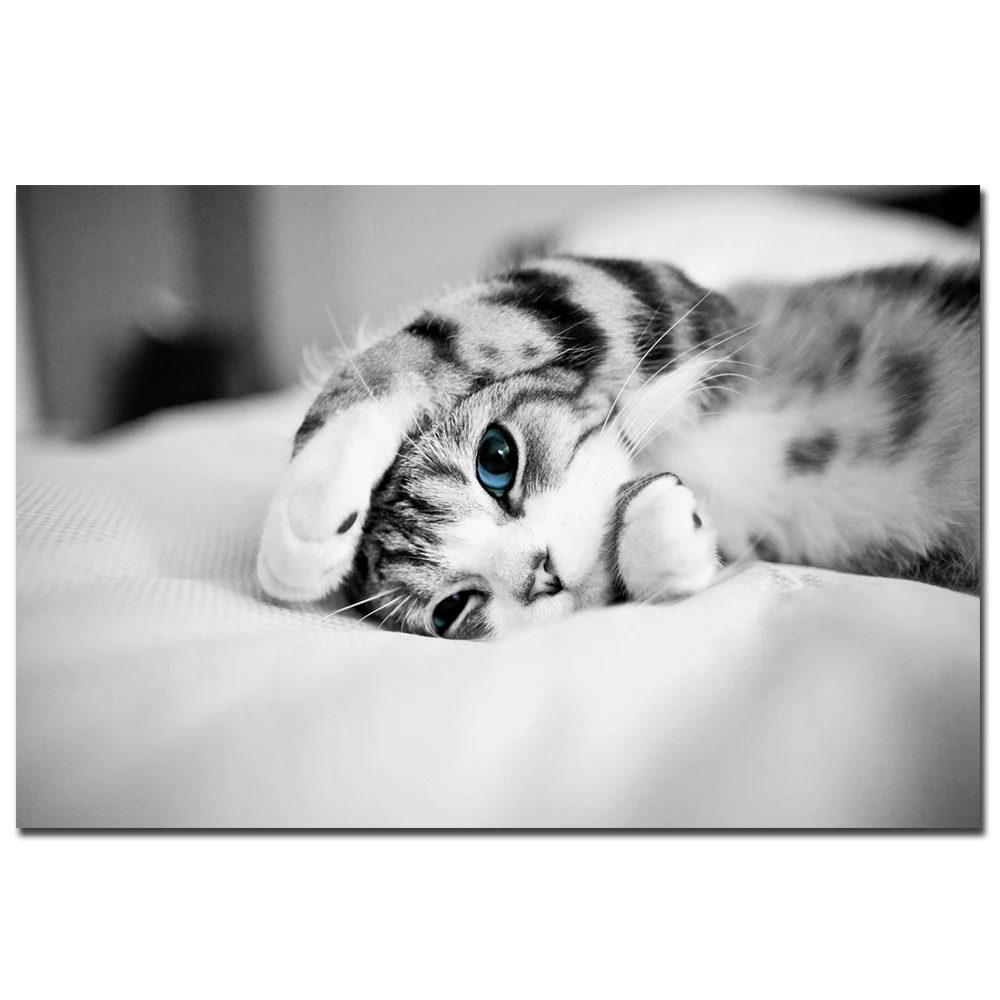 Плакат со слоном собакой Мопсом кошкой тигром черно-белые настенные картины для