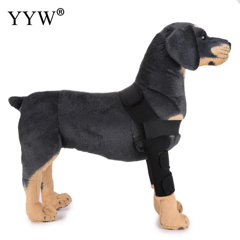 Товары для домашних животных уход за собаками наколенник леггинсы собак