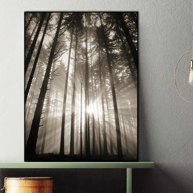 BANMU скандинавский лес холст живопись солнце абстрактный надпись гостиная пейзаж