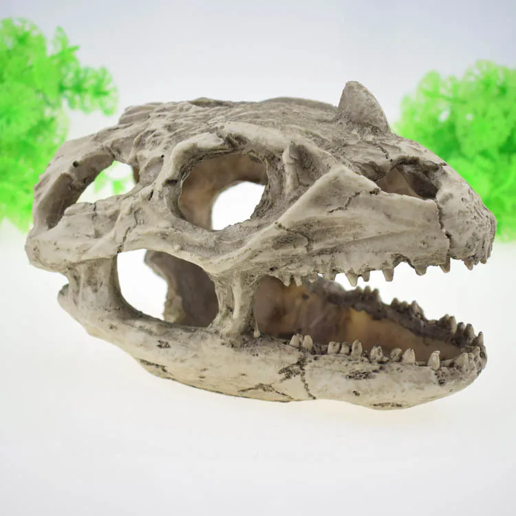 

Tyrannosaur Skull T-Rex Skull Gifts Resin Crafts Horned Dinosaur Skull Fossil Teaching Skeleton Model Home Aquarium Decor