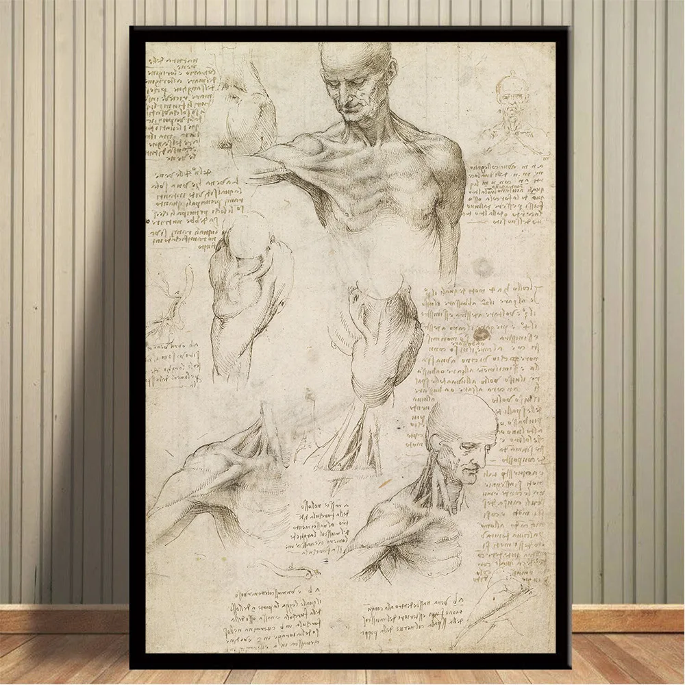 Leonardo рукопись да Винчи Витрувианский человек картина маслом на холсте Плакаты и