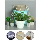 50 см самополивающийся впитывающий шнур для растений бонсай