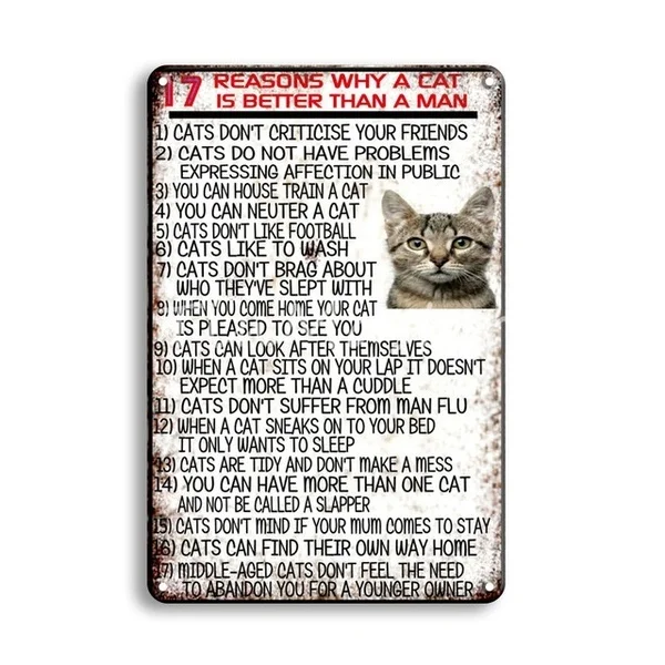 

Wall Painting WARNING PIRATE Art Poster Hanging Metal Tin Sign Vintage REMINGTON Poster Door SIgns Farmhouse Garden Shop Decor