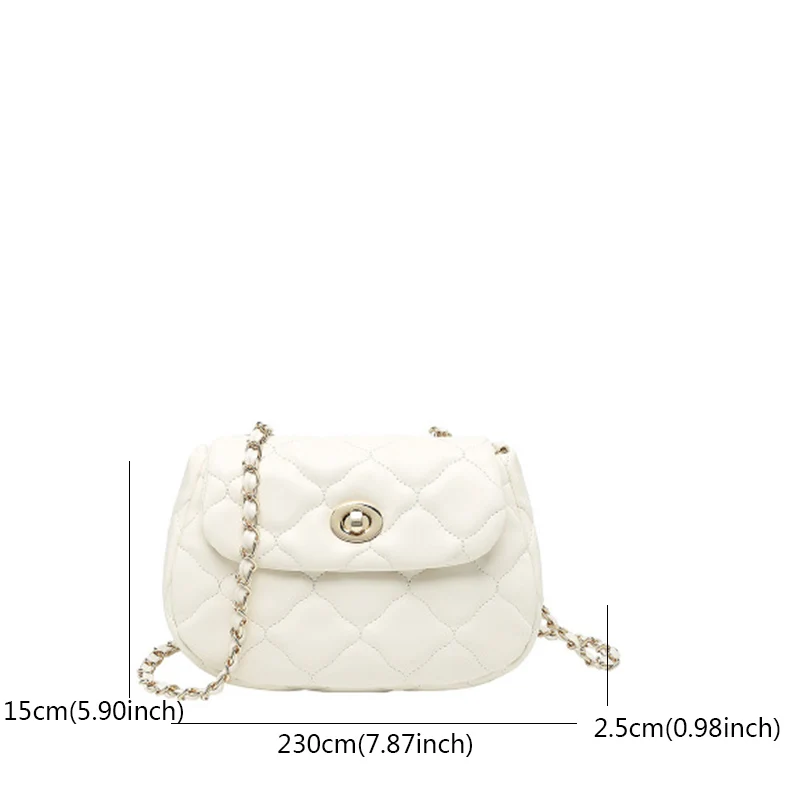 

Vintage Small Chain Women's Crossbody Bag Designer Solid Color Shoulder Bags for Women 2021 Plush Women's Bag Lady Handbag Purse