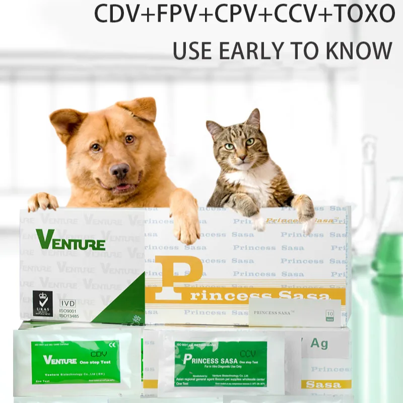 

Cat Dog Calicivirus Antigen Detection Card FCV Tests Paperboard Pet FPV CPV CCV Test Strip Cat Nose Test Strip Disease Poison