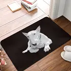 Коврик для ванной, кухни, балкона, 40 х60 дюймов