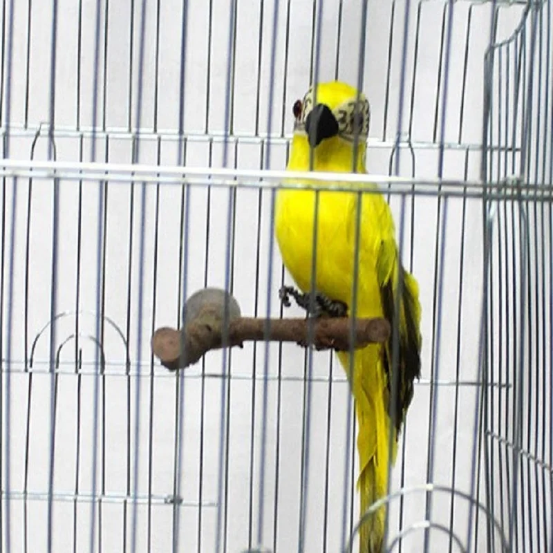 

15/20/25/30cm Pet Parrot Bird Standing Stick Wood Pole Bird Cockatiel Parakeet Perches Bite Claw Grinding Bird Toys Accessories