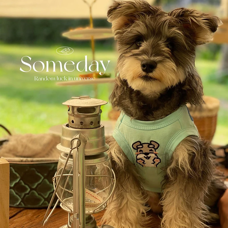 

Dog Clothes for Small Dogs Dog Clothes Dog Accessories for Small Dogs Luxury Halloween Dog Shirt Summer Pet Clothes Wing