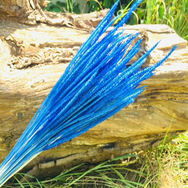 

Home Decor 50pcs Natural Plants Dried Flower Unicorn Grass Bunch For Wedding Gifts Bedroom Office Garden Decoration