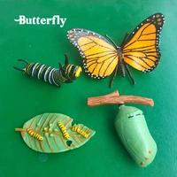 simulation animals growth cycle butterflyladybugchicken life cycle figurine plastic gift model toy educational action figures