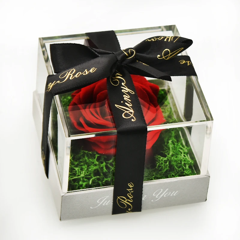 Сохраненный свежий розовое Красота и с рисунком из мультфильма Красавица