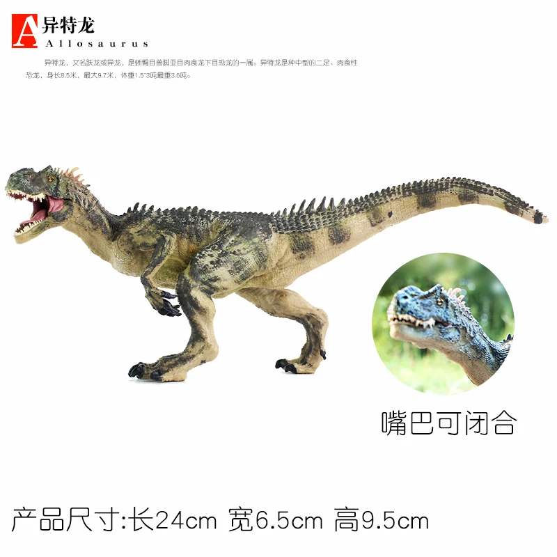 

Simulation Allosaurus Lifelike Dinosaur Model Toy Figurine Simulation Allosaurus Home Decor Educational Toys For Children JJ60SB