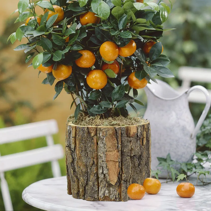 Креативный деревянный садовый цветочный горшок с полыми деревянными колышками