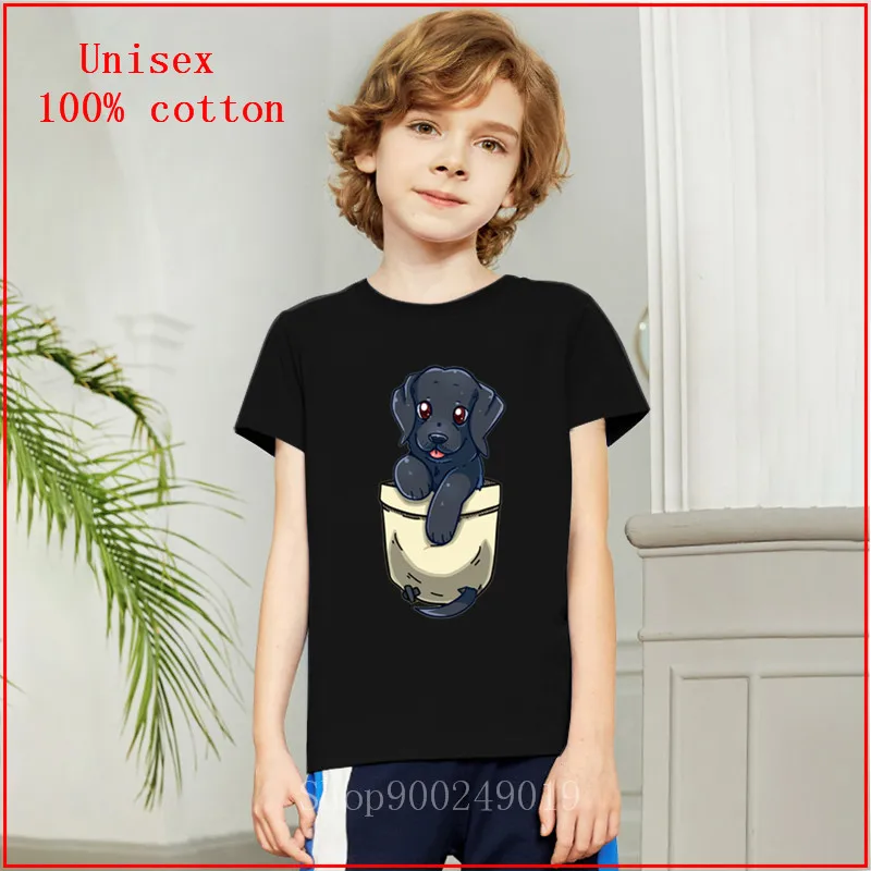 2020 летняя черная лаборатория Черный Лабрадор Собака ретривер Милая карманная