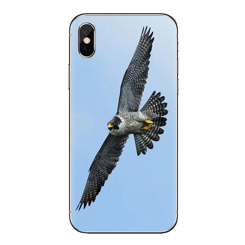 Peregrine Falcon fastest animal Birds For iPod Touch Apple iPhone 4 4S 5 5S SE 5C 6 6S 7 8 X XR XS Plus MAX Silicone Cases Cover |