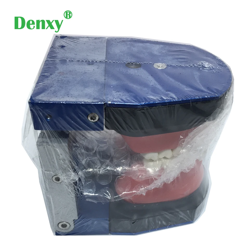 Стоматологическая Ортодонтическая модель Denxy зубного исследования