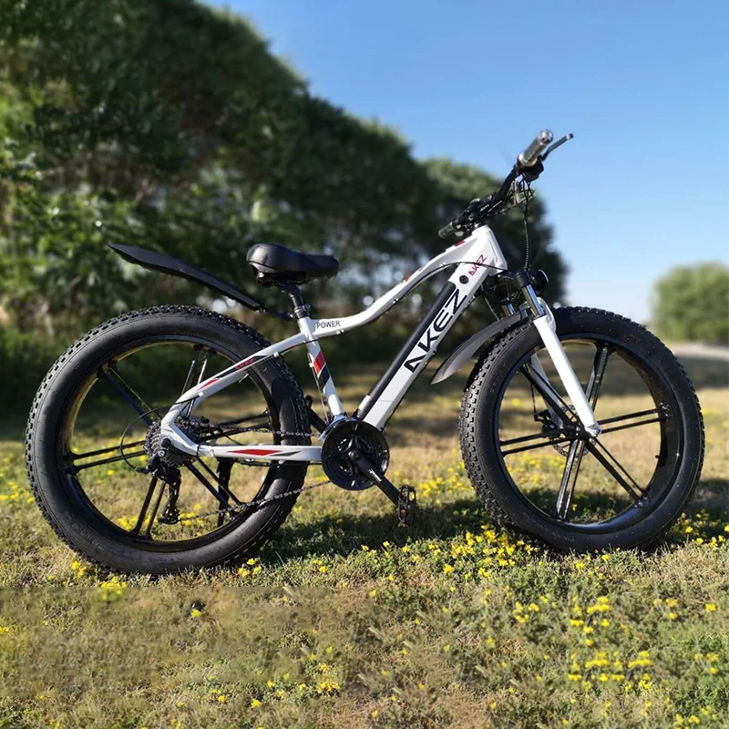 Verkauf Elektrische Bike 750W Elektrische Fett Bike Elektro Fahrrad 48v10ah Lithium-Batterie Ebike Elektrische Mountainbike Bycycle Fastwheel