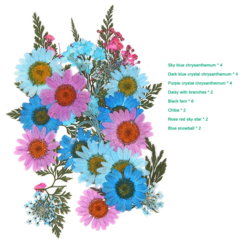 

Pressed Flower Mixed Dried Flowers DIY Art Floral Decors Collection Gift Craft DIY BOM666