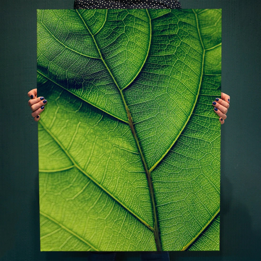 Постер на холсте декор для дома картина интерьера &quotЗеленый листок&quot растения