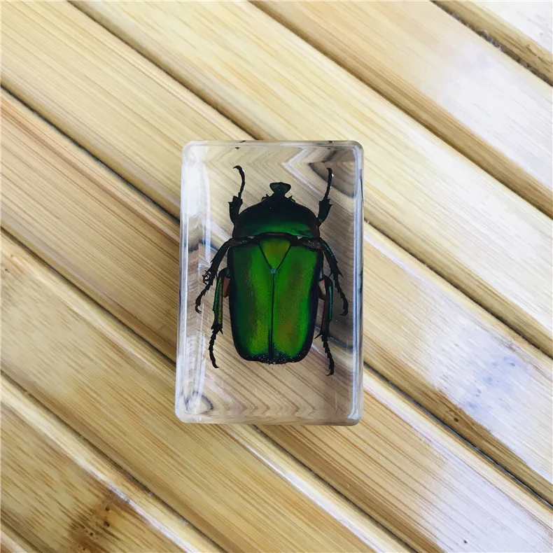 

Amber Resin Insect Animal Specimen 43mm*28mm*21mm Children's Gift Surprise Crab Spider Scorpion Decorations for Home
