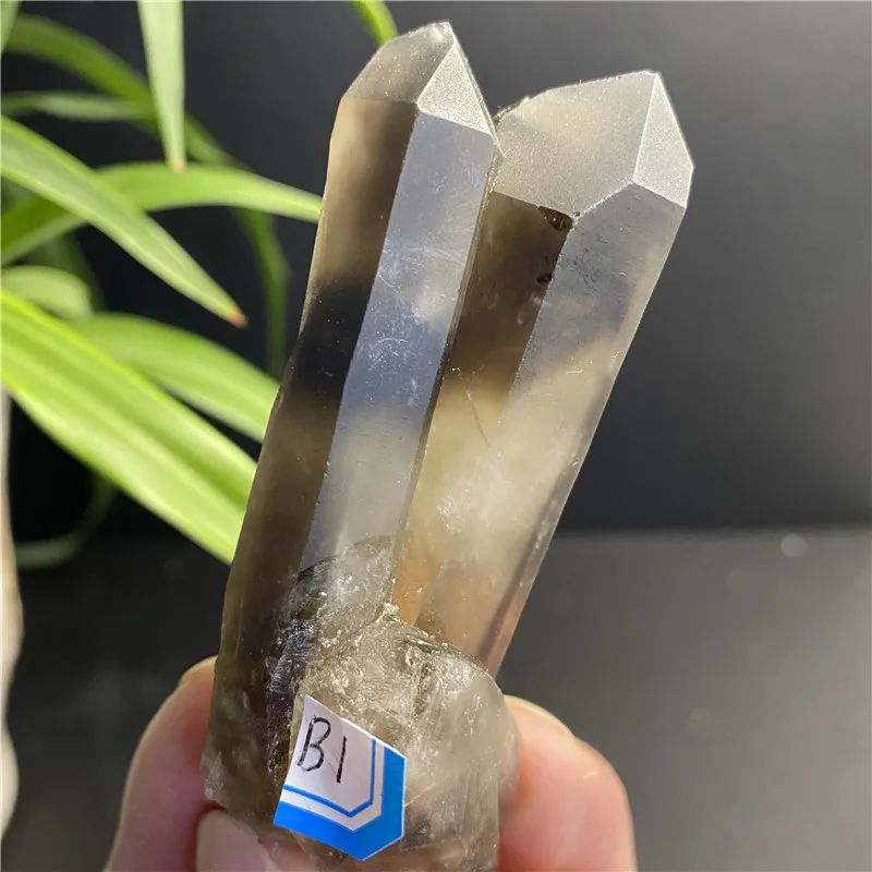 

Top Natural Large Smokey Quartz Crystal Point Wand Healing Specimen Home Decoration