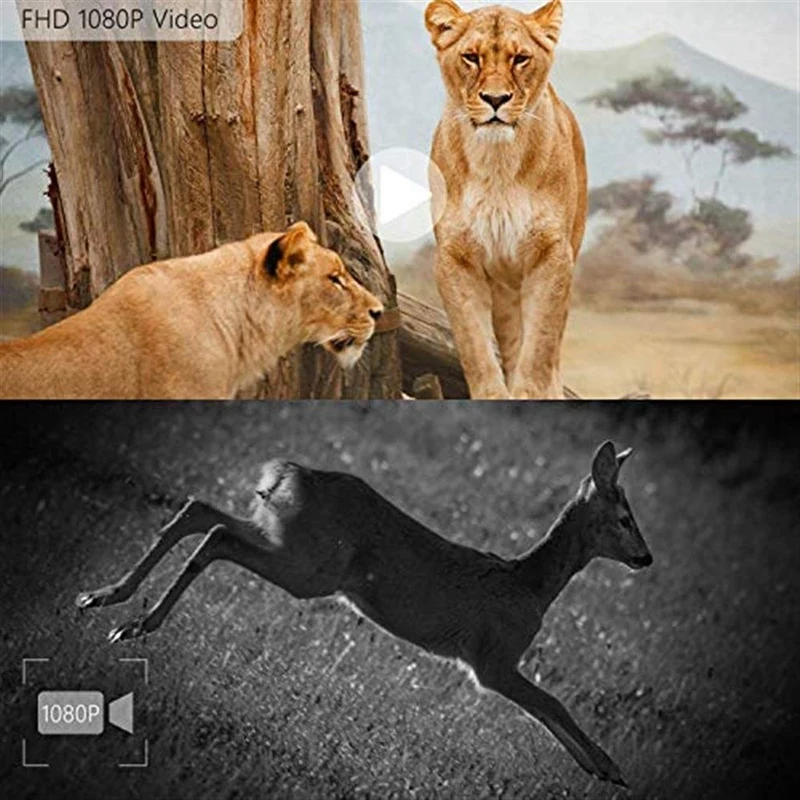 Trail игровая камера 1080P Hd Ir Led охотничья водонепроницаемая дикая природа 950Nm Infared