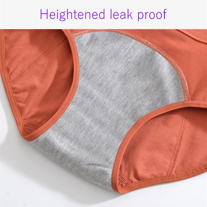 5Pcs Women Panties Panties for Menstruation High Waist Culottes Menstruelles Bragas Underwear Femme Culottes Beriefs