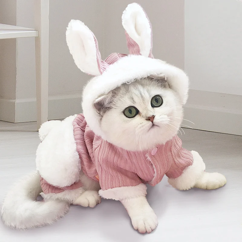 

Cat clothes kitten autumn and winter dress pet maid dress puppet cat cat winter cute princess skirt female kitten skirt