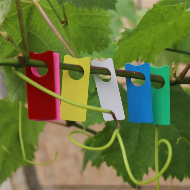 100 шт цветные пластиковые Висячие этикетки для растений овощи - Цена: 332,51 руб.