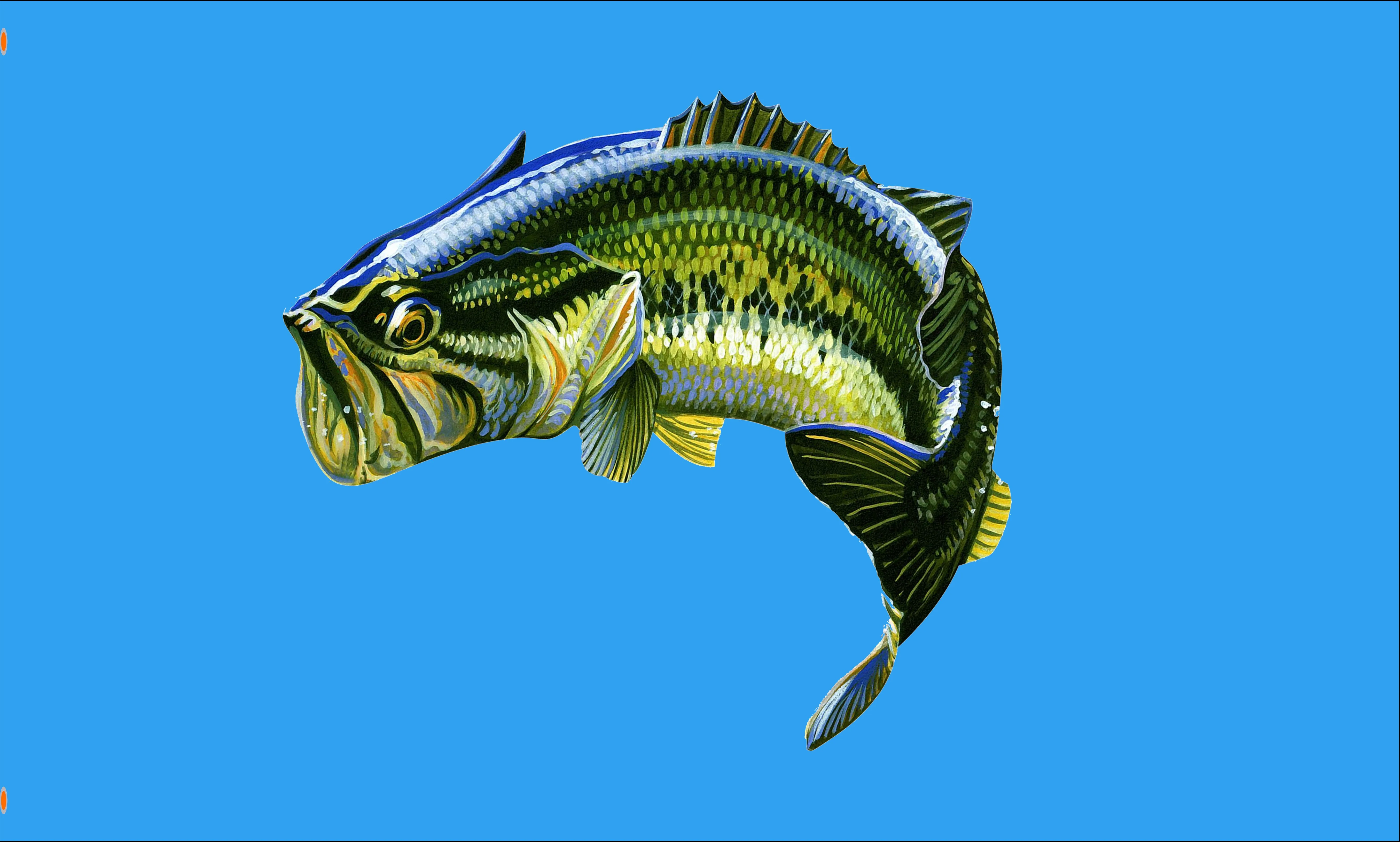 

Горячая Распродажа 3d печать на заказ украшения рыбы флаг 90x150 см 120x180cm