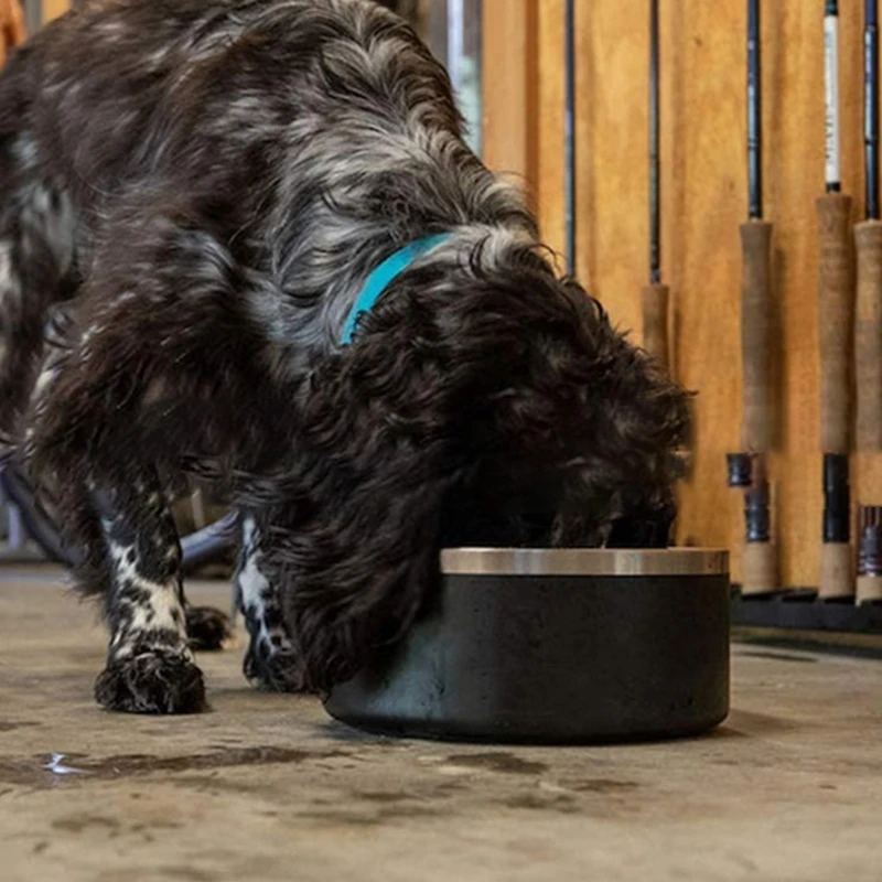 

Cat Bowl Pet Bowl Stainless Steel Cat Food Water Bowl Non Slip Base Small Pet Easy To Clean Durable Cat Feeding Bowls