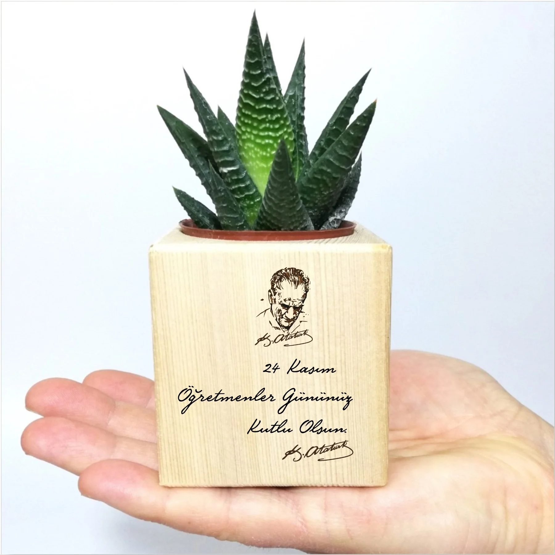 

Personalized Ataturk Themed Sukulent -1 In Pots