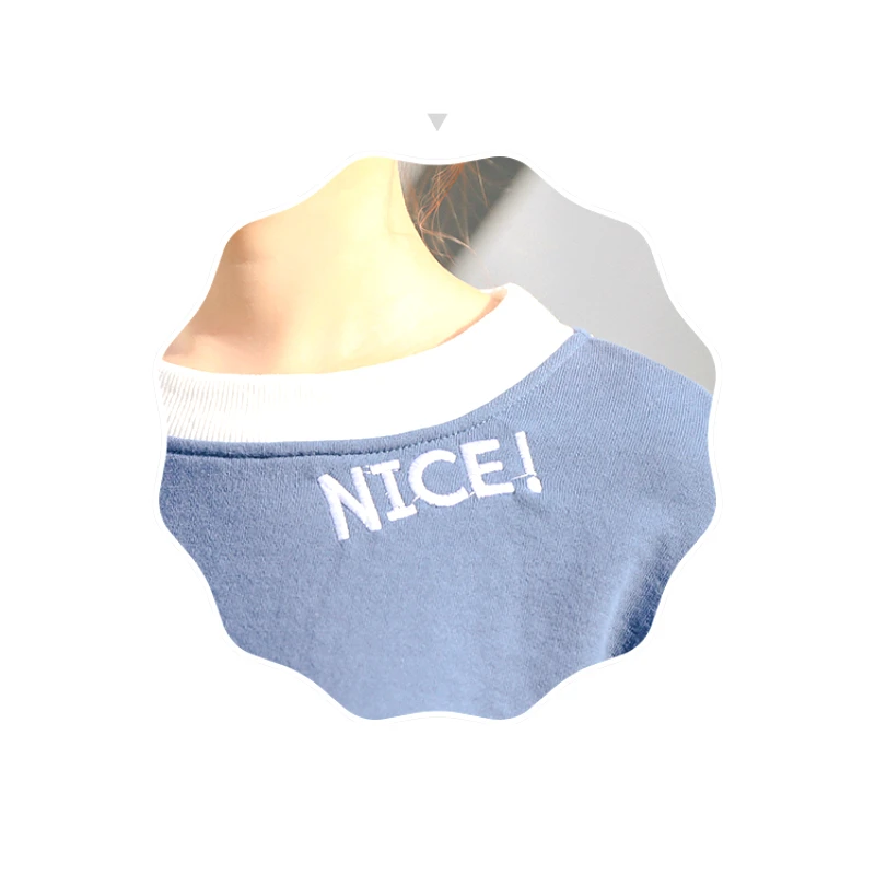 

2020 Autumn New Long-sleeved Hoodies Female College Style Letter Embroidery Loose Sweet Pullover