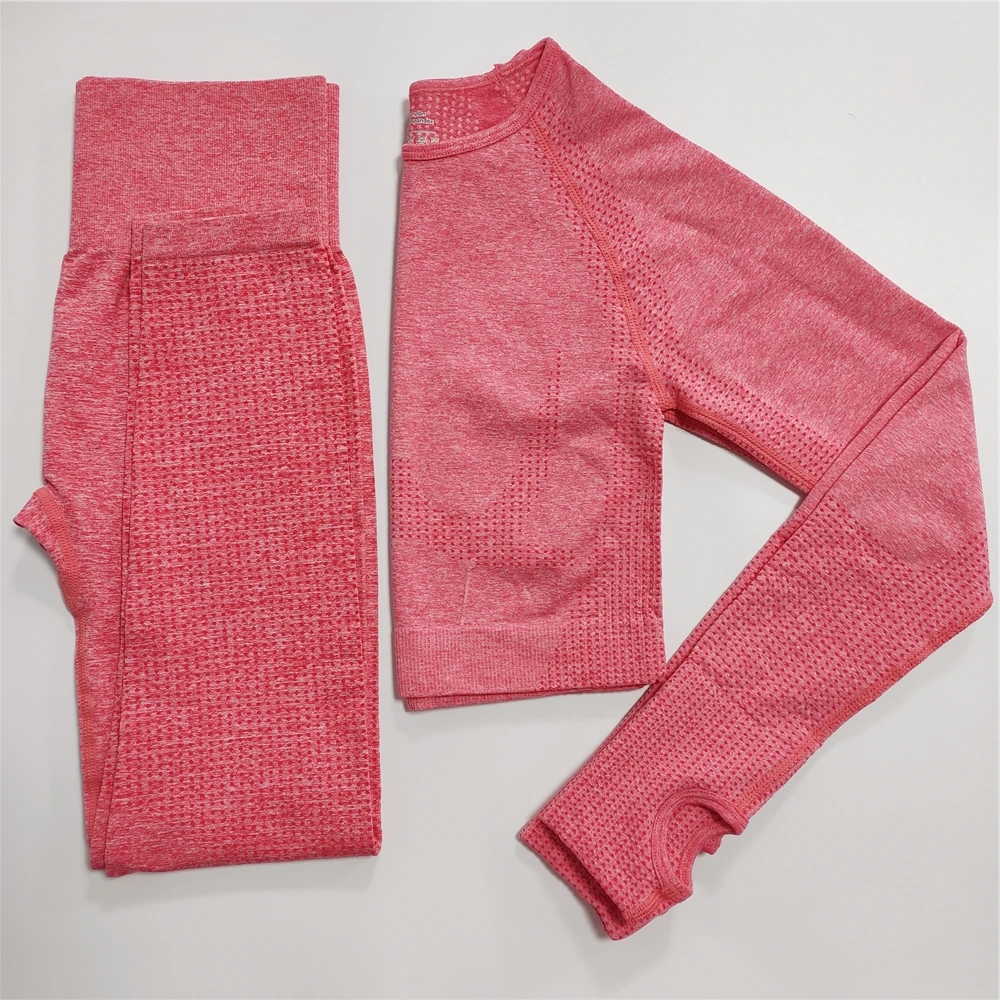 

Women Seamless yoga set Fitness Sports Suits GYM Cloth Yoga Long Sleeve Shirts High Waist Running Leggings Workout Pants Shirts